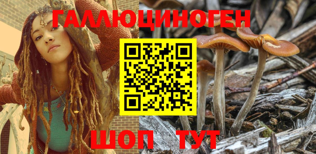 Псилоцибиновые грибы мицелий Абакан