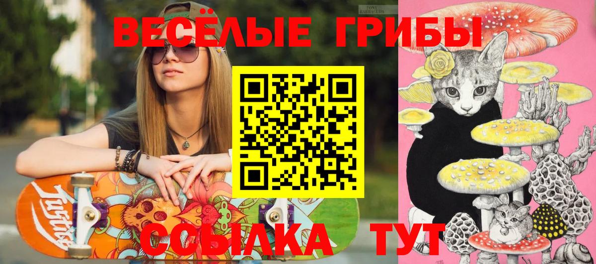 Абакан  где найти   Вход с VPN  Галлюциногенные грибы мицелий 